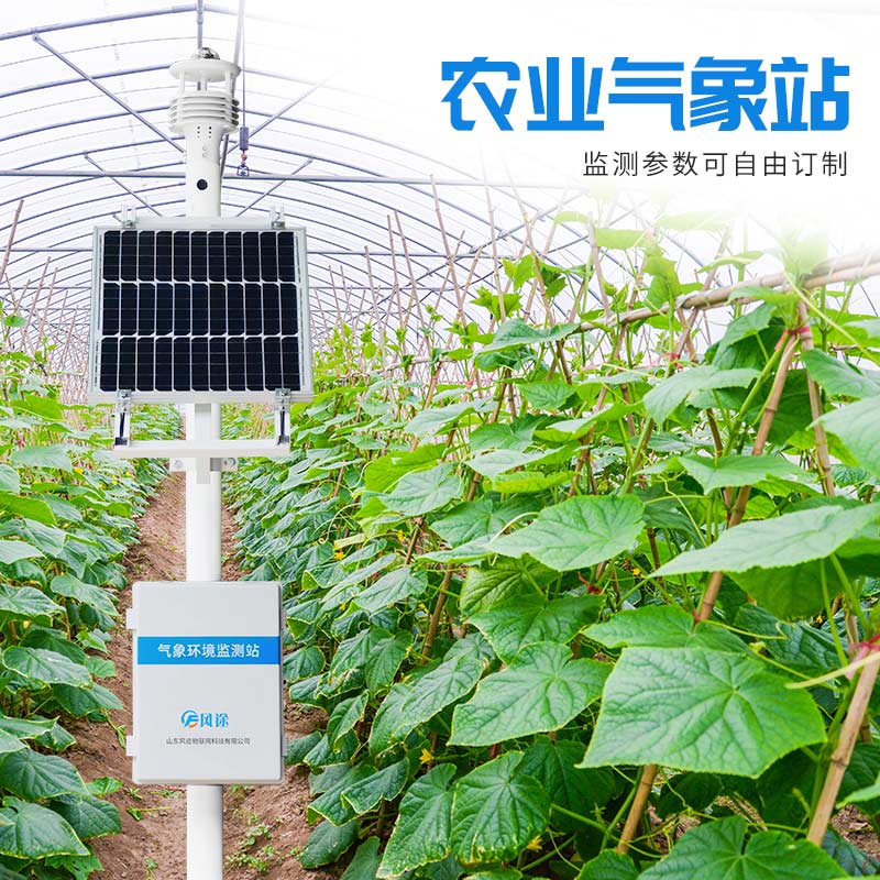 溫室栽培花卉，用農(nóng)業(yè)氣象站調(diào)控小氣候