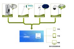 在番石榴的種植中，農(nóng)業(yè)四情監(jiān)測系統(tǒng)有何作用？